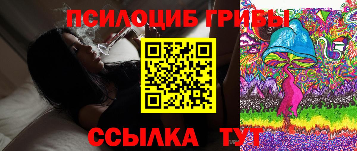 Галлюциногенные грибы MAGIC MUSHROOMS Егорьевск