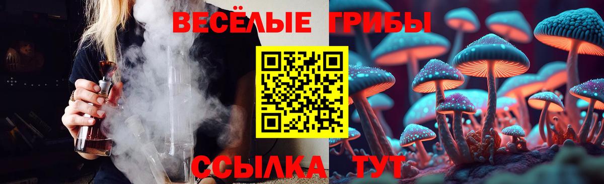 Егорьевск  Галлюциногенные грибы Psilocybe  Вход с VPN 